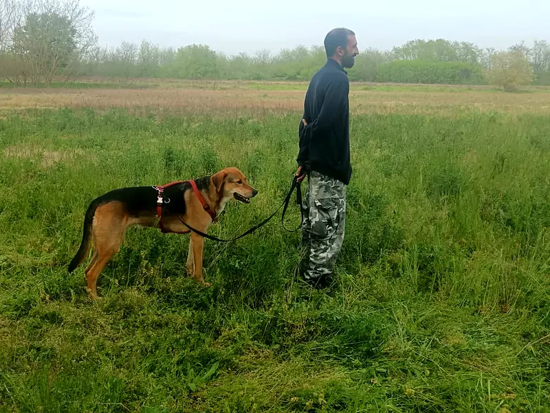 Manuel in piedi in un prato con Dingo al guinzaglio